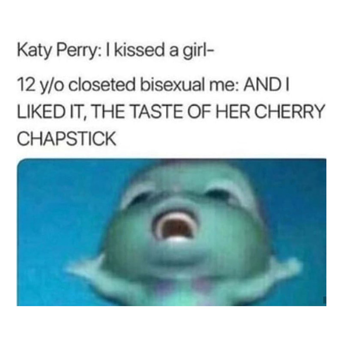 KISSED A GIRL PRIDE MONTH MEME