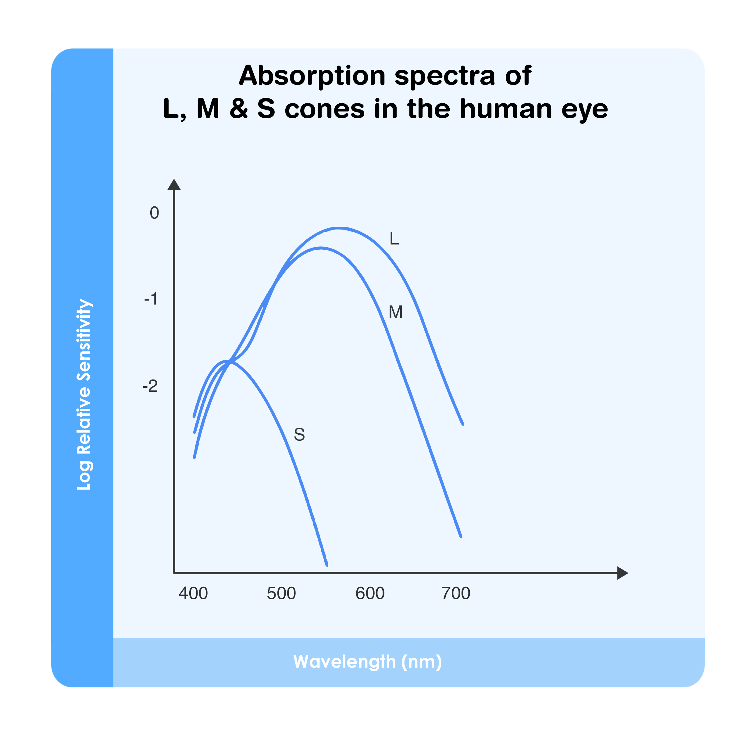 What is Dark Adaptation ? for Red LED Flashlights for