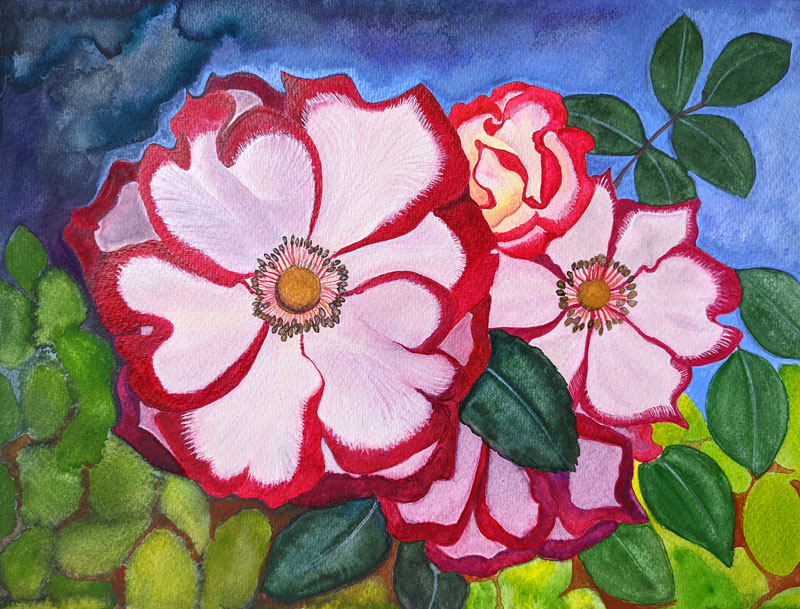A cluster of wild roses blooming. Background of green leaves and swirling bluish sky