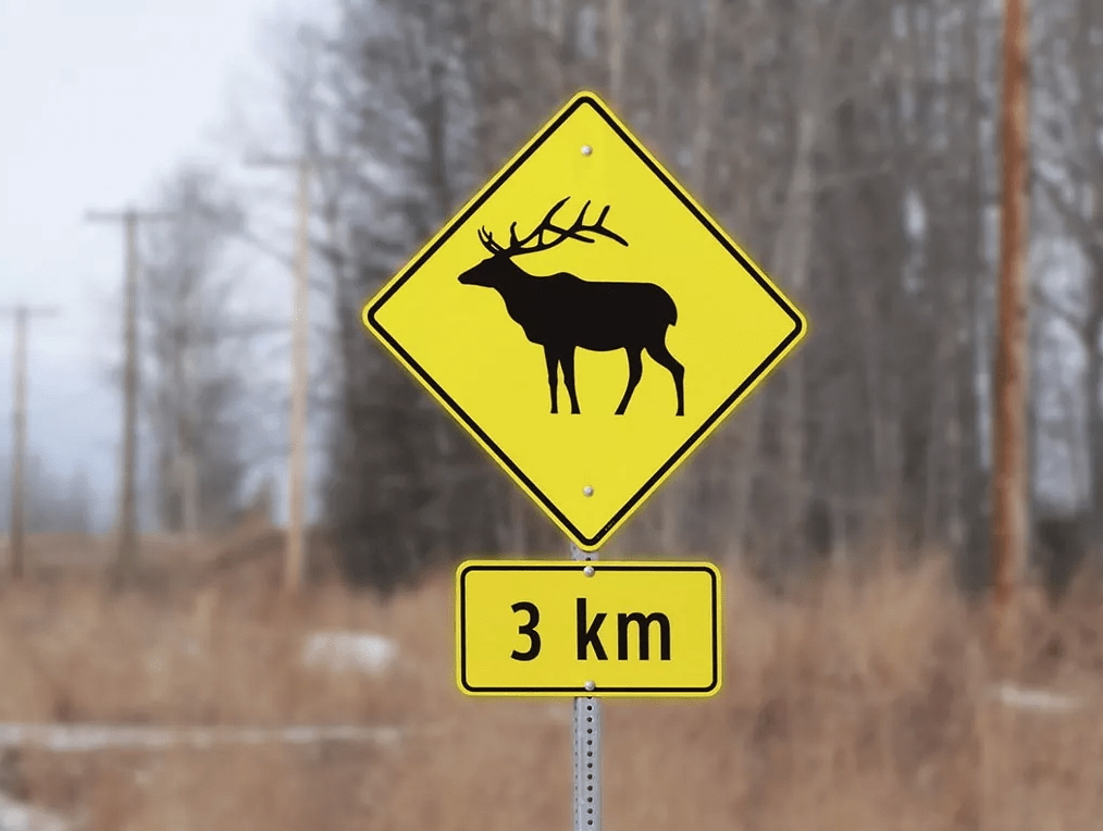 Wildlife crossing warning sign for vehicles
