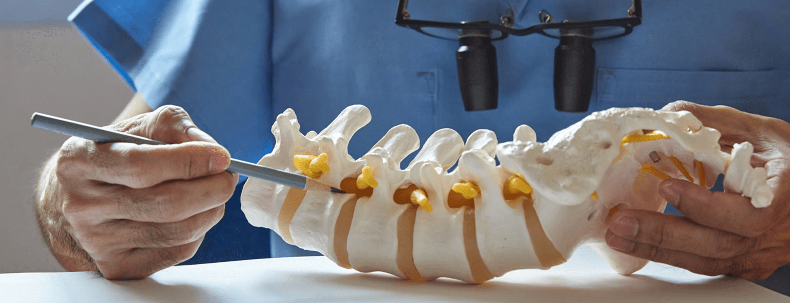 Médico señalando disco en modelo de columna vertebral 