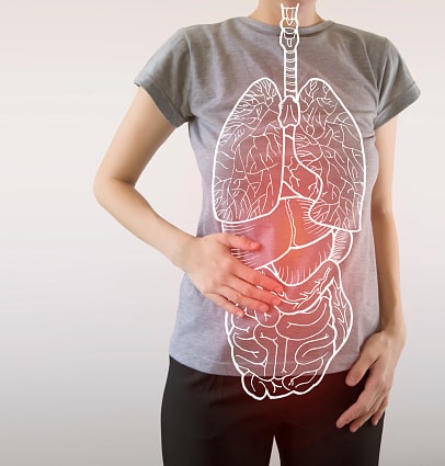 Diagram of outlined organs