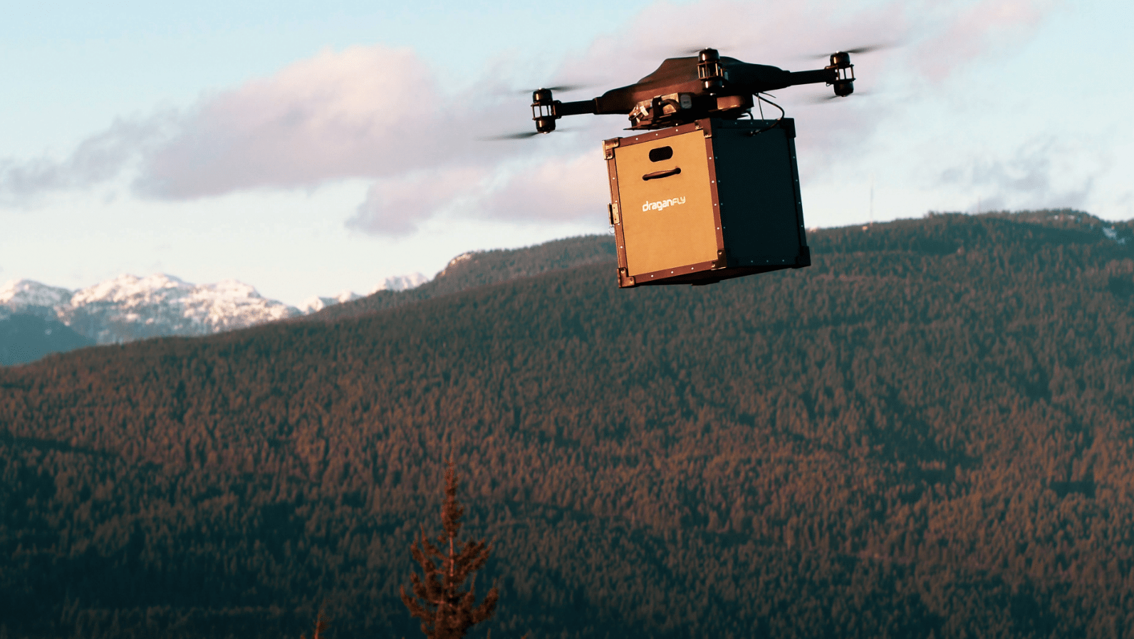 Drone delivering package