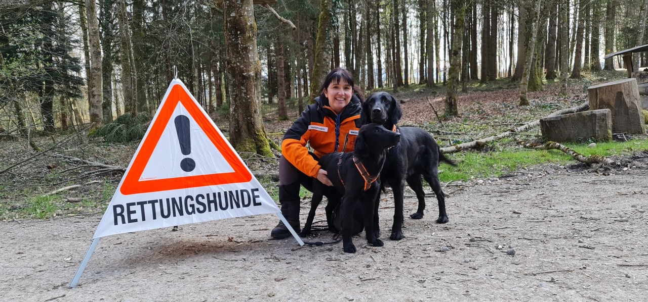 Naht des vorderen Kreuzbandes nach Riss