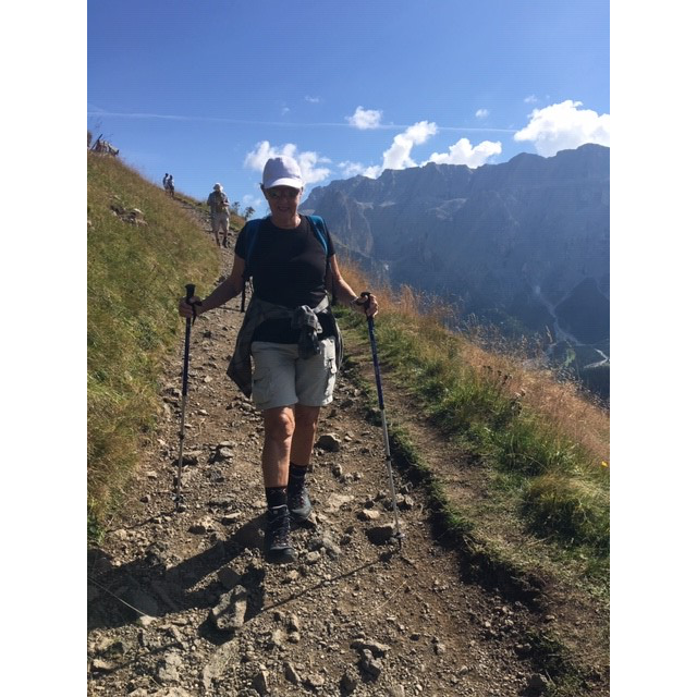 Knie-Total-Prothese