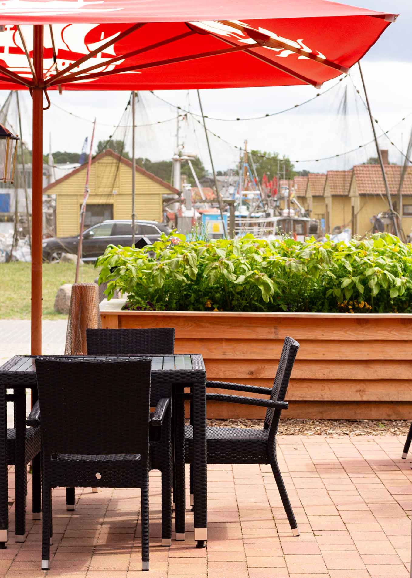 Blick von der Terasse des Restaurants auf die Fischerhütten Freest