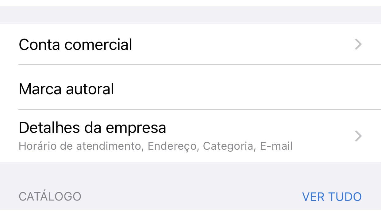 Imagem com descrição das informações que podem ser inseridas no Whatsapp Business