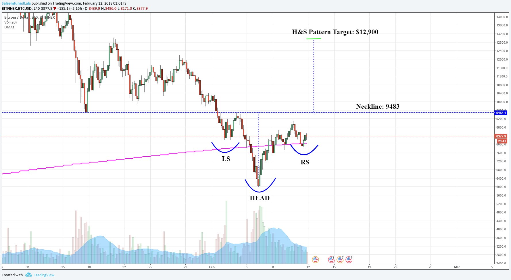 Crypto Trader Investor