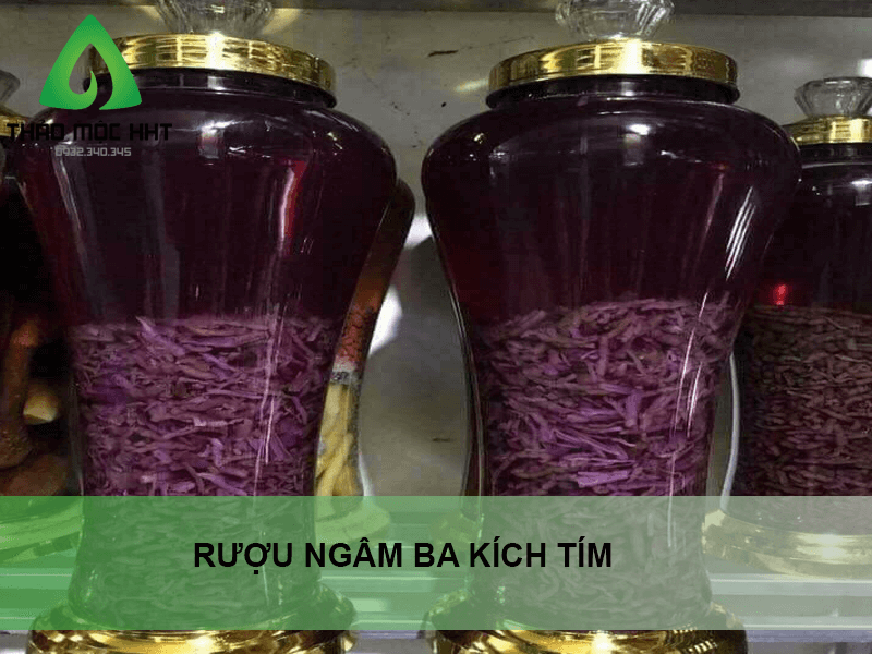 Thảo dược ngâm rượu chữa đau lưng