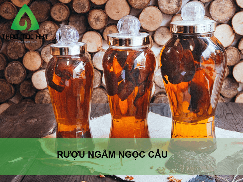 Thảo dược ngâm rượu chữa đau lưng