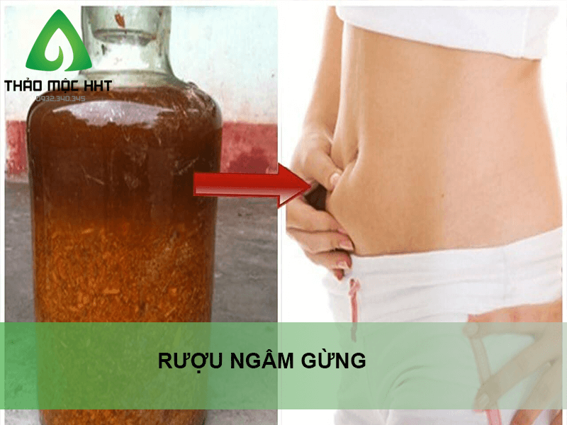 Thảo dược ngâm rượu chữa đau lưng