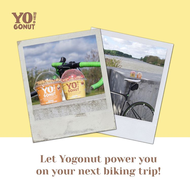 yogonut-insta