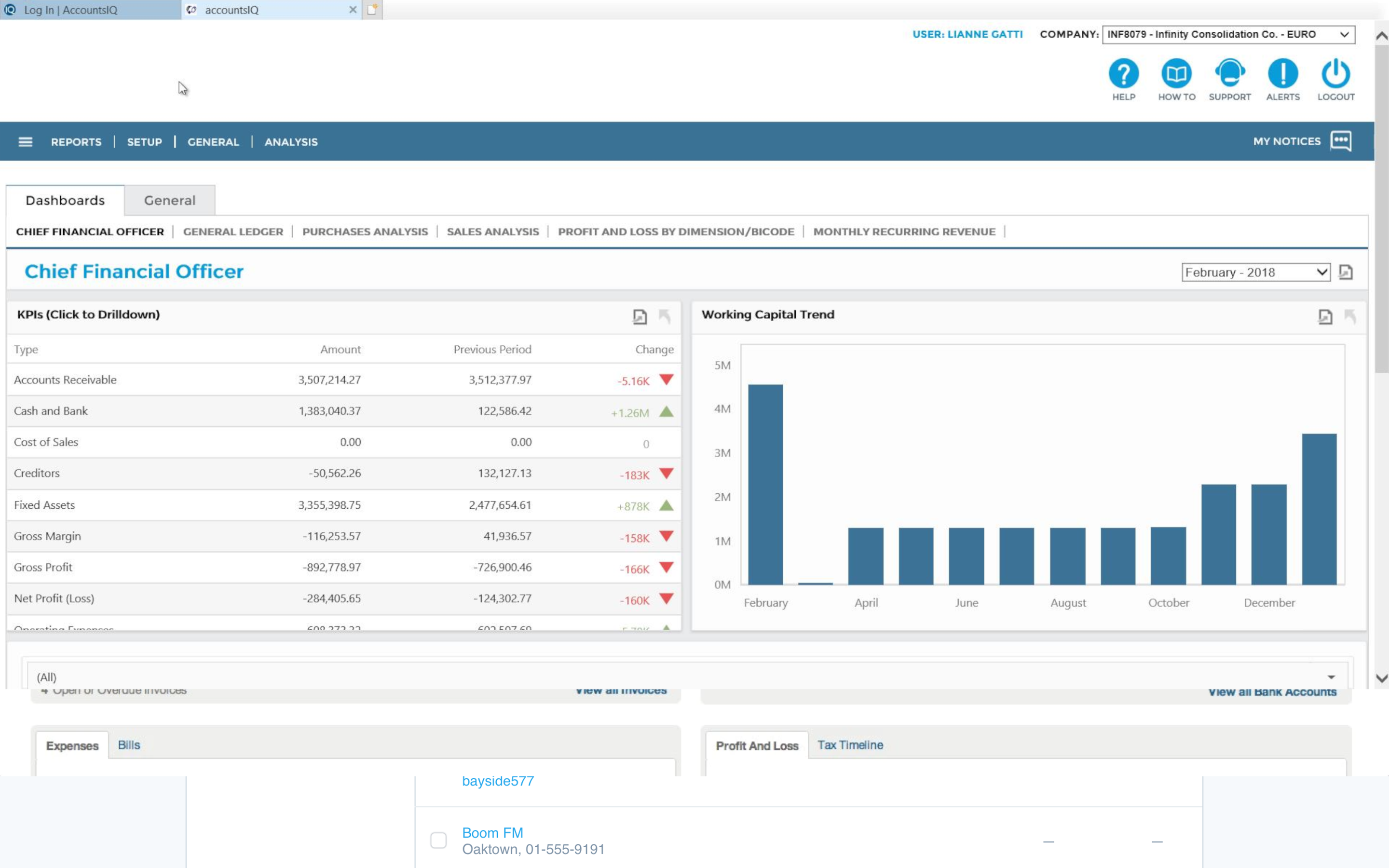AccountsIQ-Screenshot