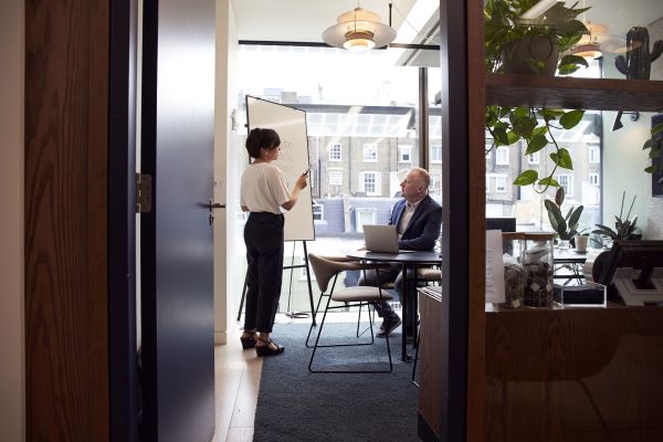 One person giving a prentation to a colleague