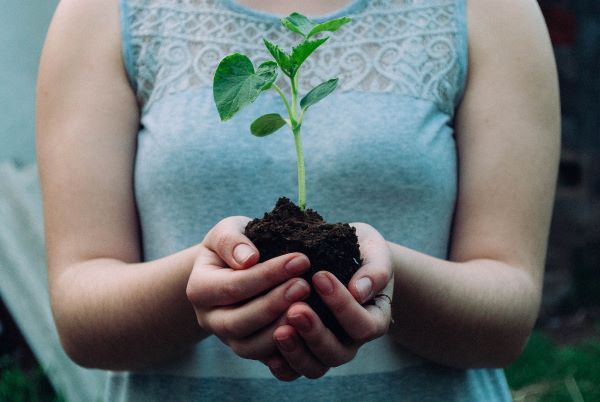 Woman holding earth and plant