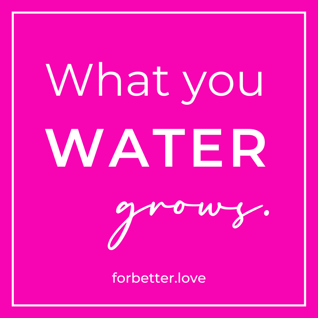 What you water grows in For Better Love The Power of a Proactive Perspective Blog