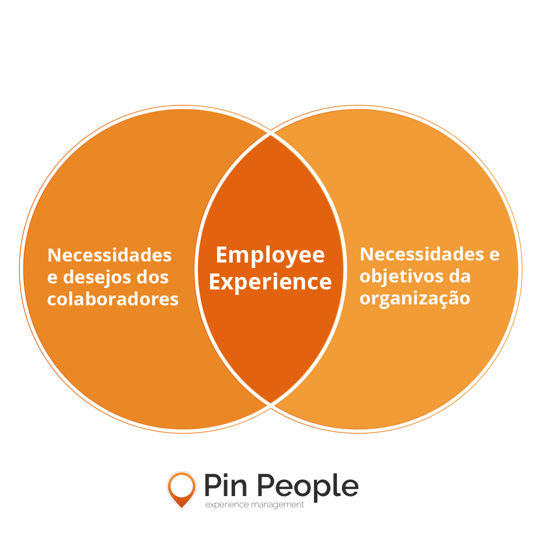 Diagrama de Employee Experience Pin People