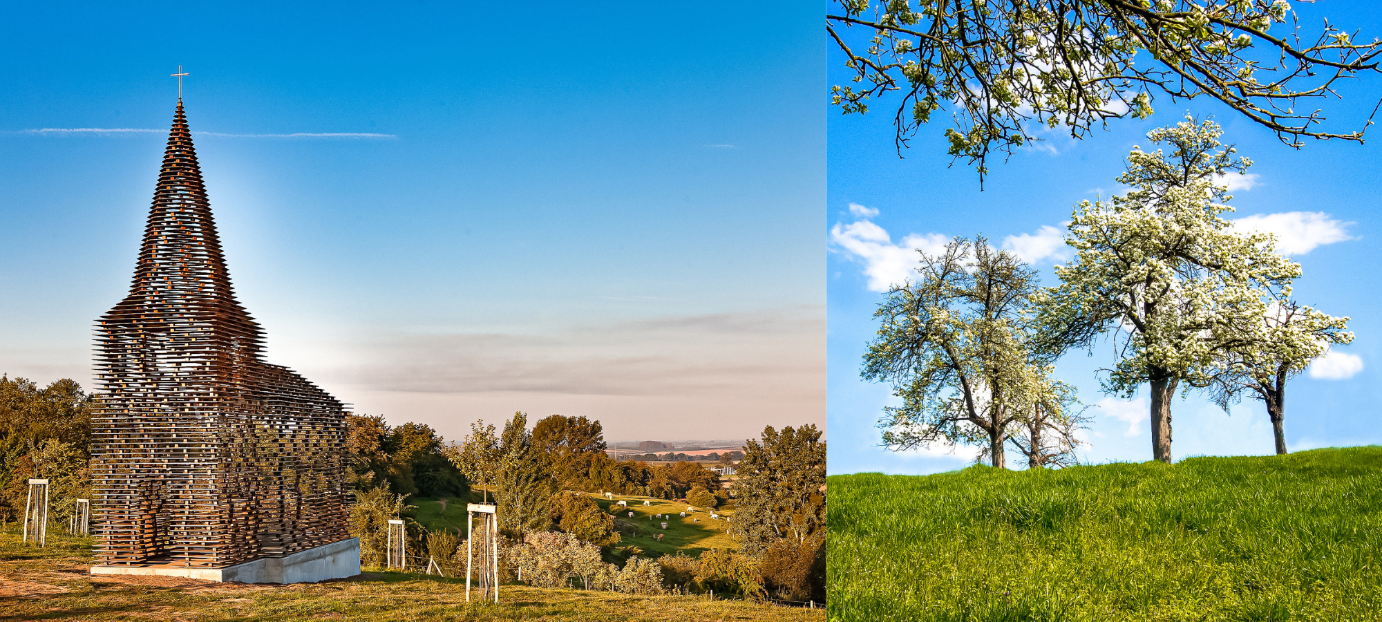 Left: Reading Between the Lines Church, Antwerp. Right: Trees in a field, Belgium.