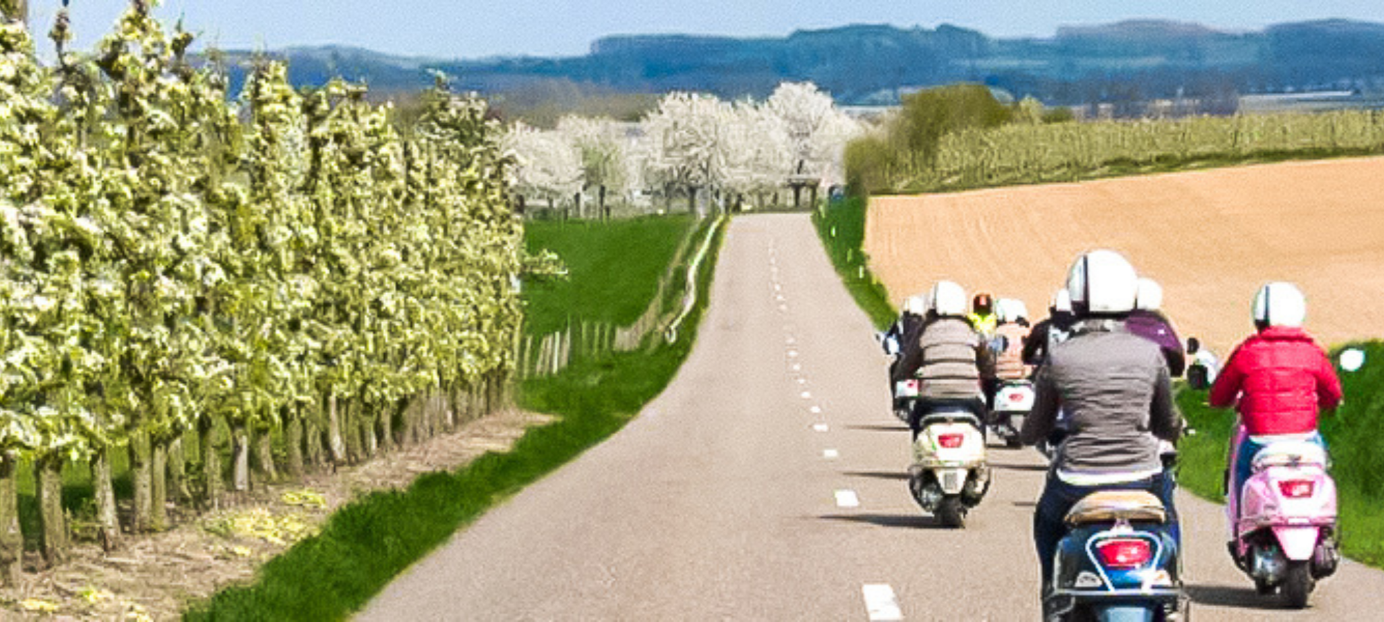Vespa riders in a group riding through Haspengouw, Belgium