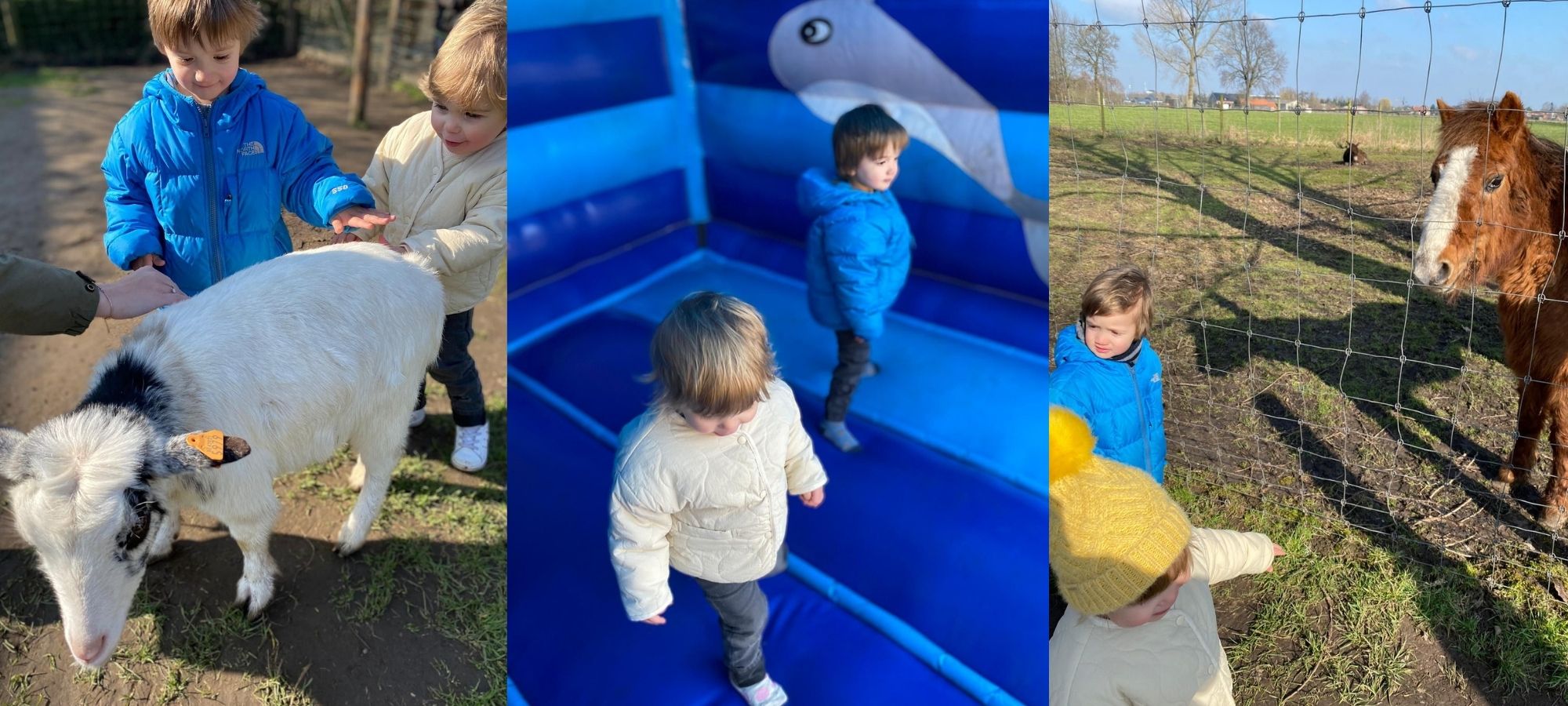 Two children petting goats, playing in a bouncy castle, at Lier 't struisvogelnest