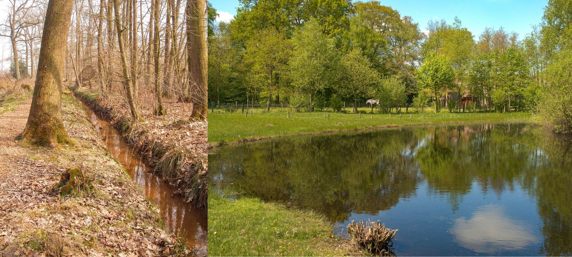 Left: trees next to a narrow river. Right: lake in Domein Kiewit, Belgium