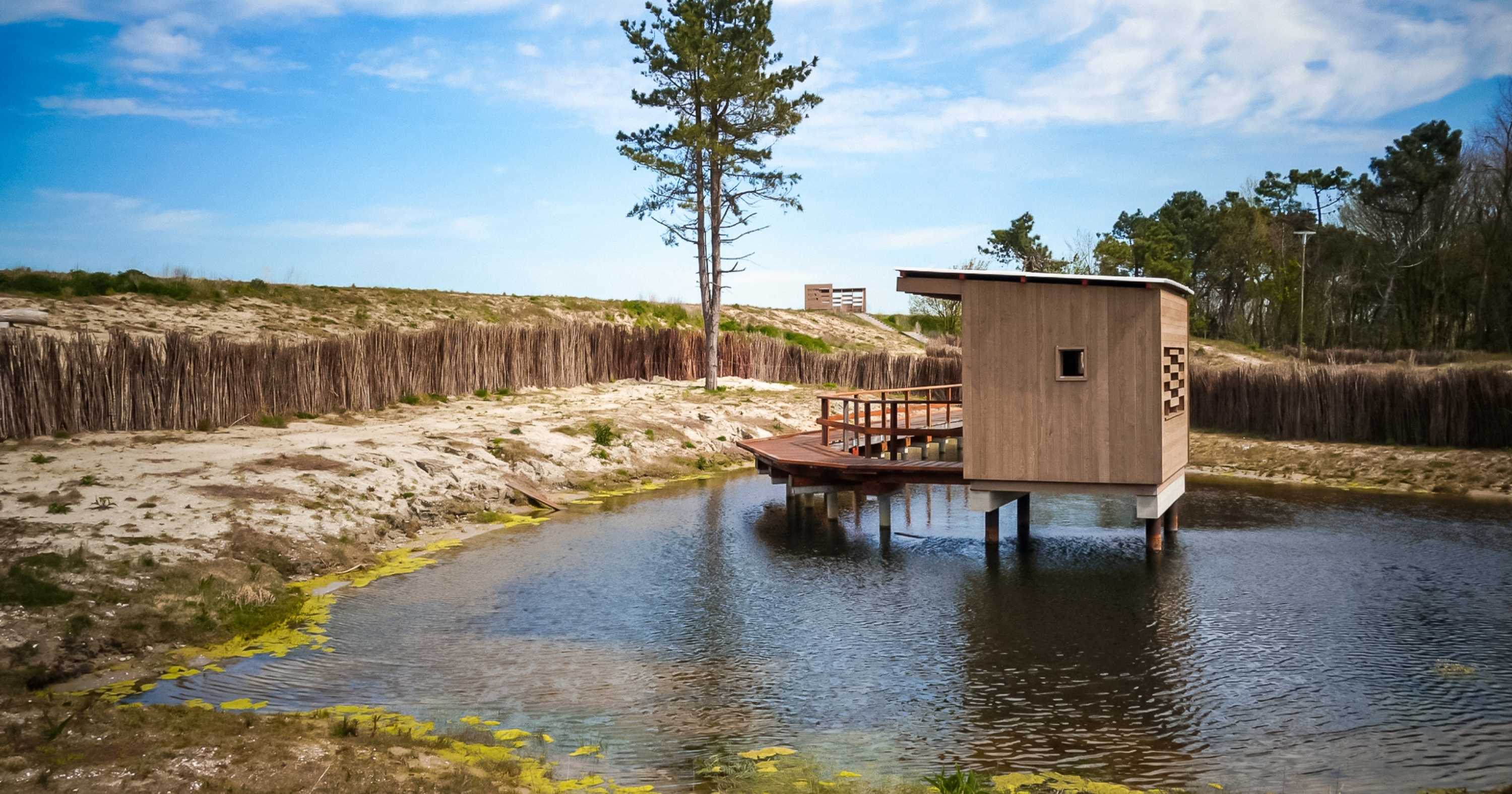 A wooden observation hut in a small lake at Zwin Nature Park, Belgium