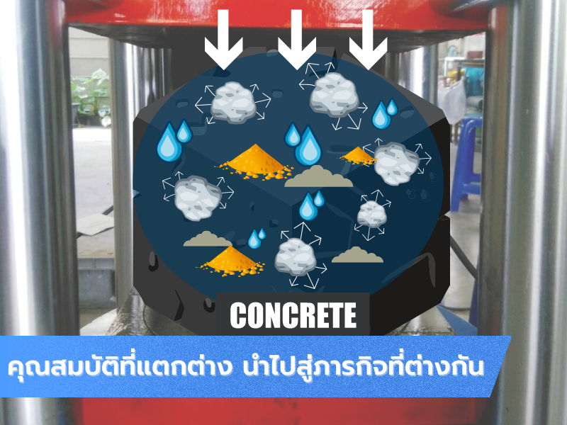 คุณสมบัติที่แตกต่างกัน นำไปสู่ภารกิจที่ต่างกัน