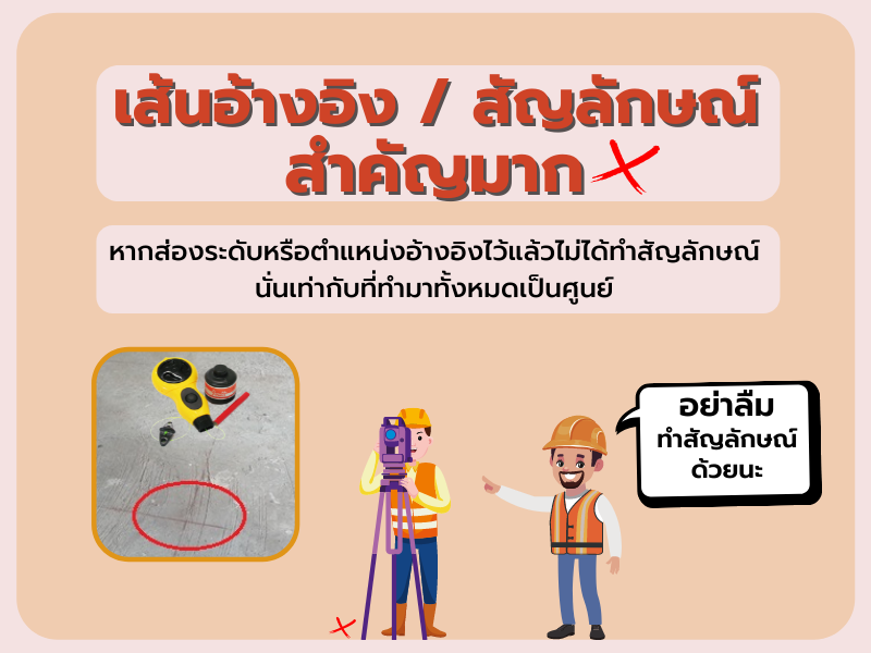 What the เต๊า?