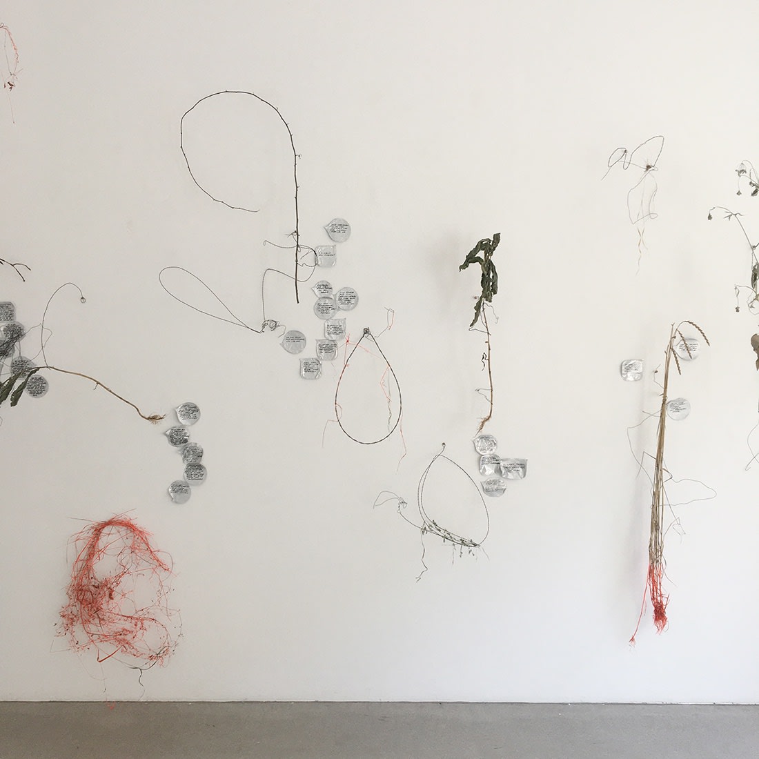 iris andraschek gallery raum mit licht installation