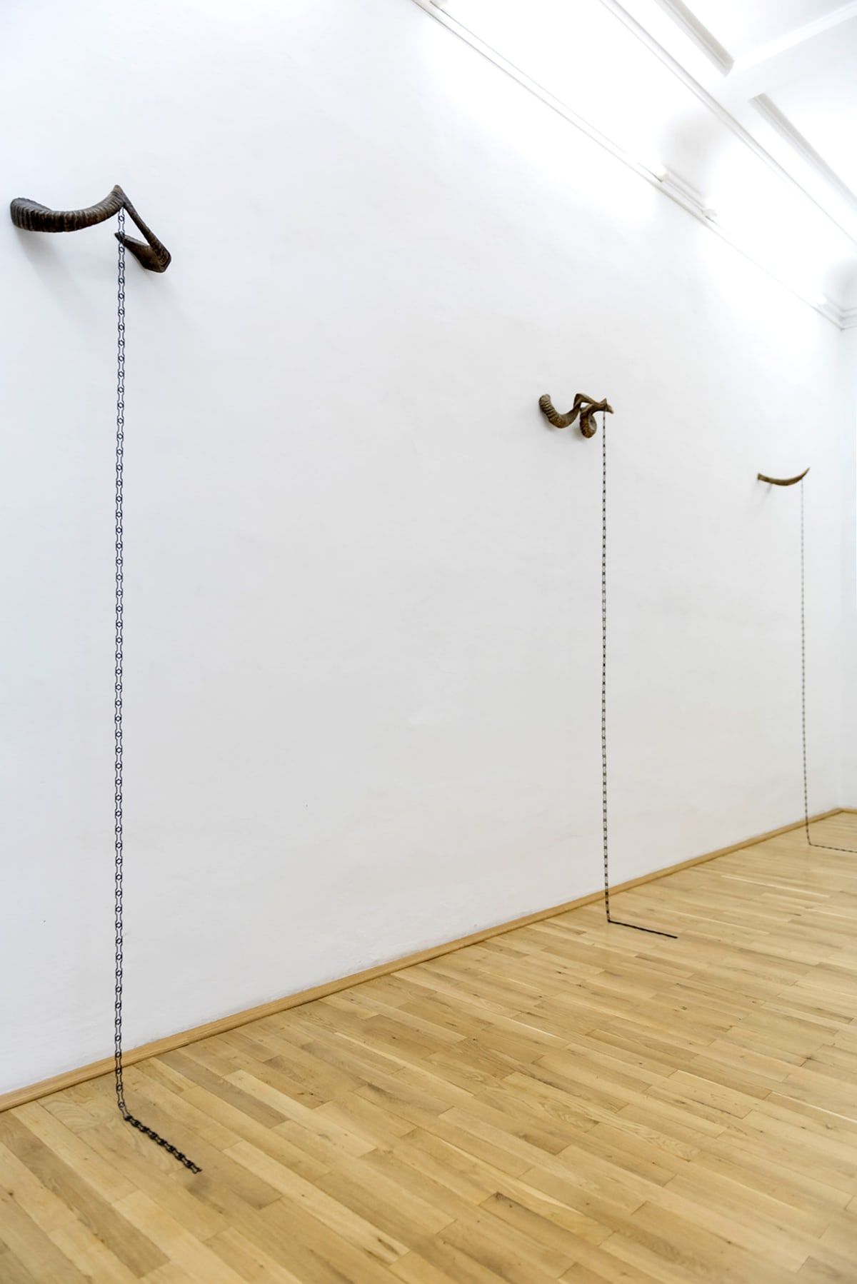 Image shows intallation of 3 horns separetely mounted on the wall that each have a chain that falls till the floor