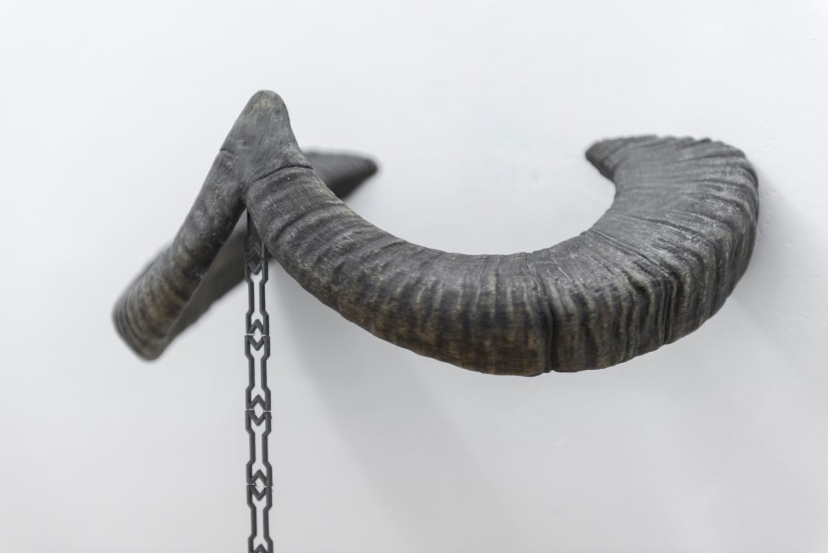 close up of an artwork shows a horn from an animal and a metal chain