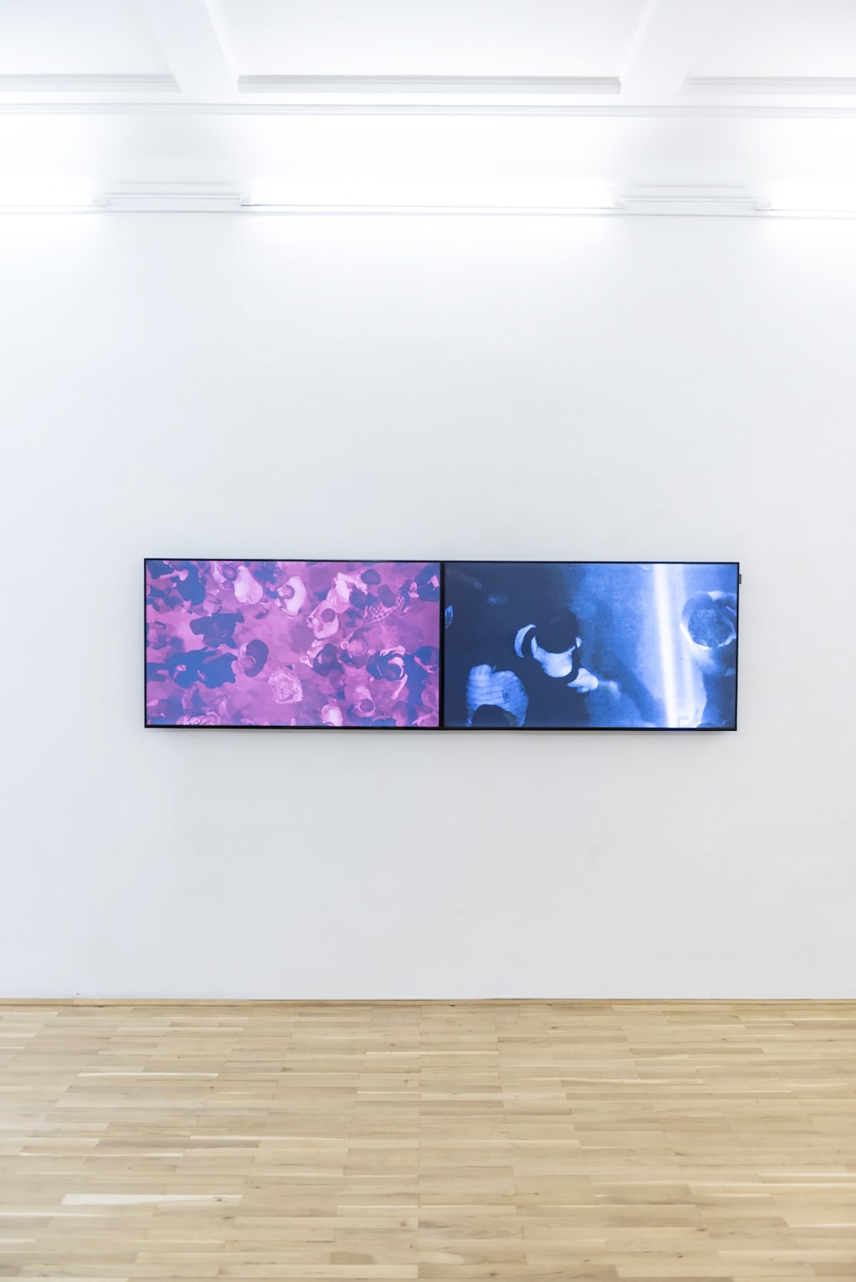 Video installation. A wide screen shows a film on the wall