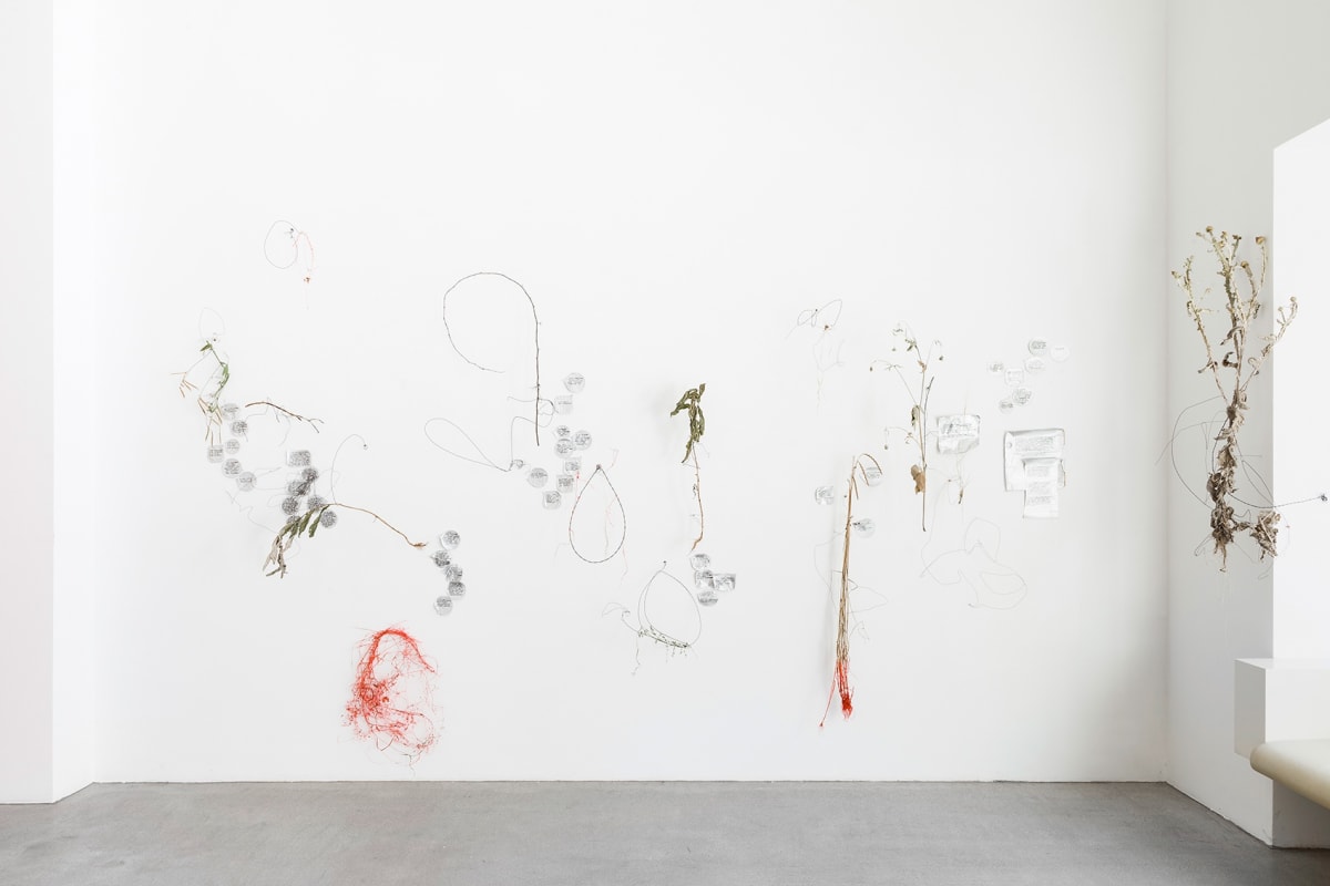 art galleries in vienna, raum mit licht, munchies art club