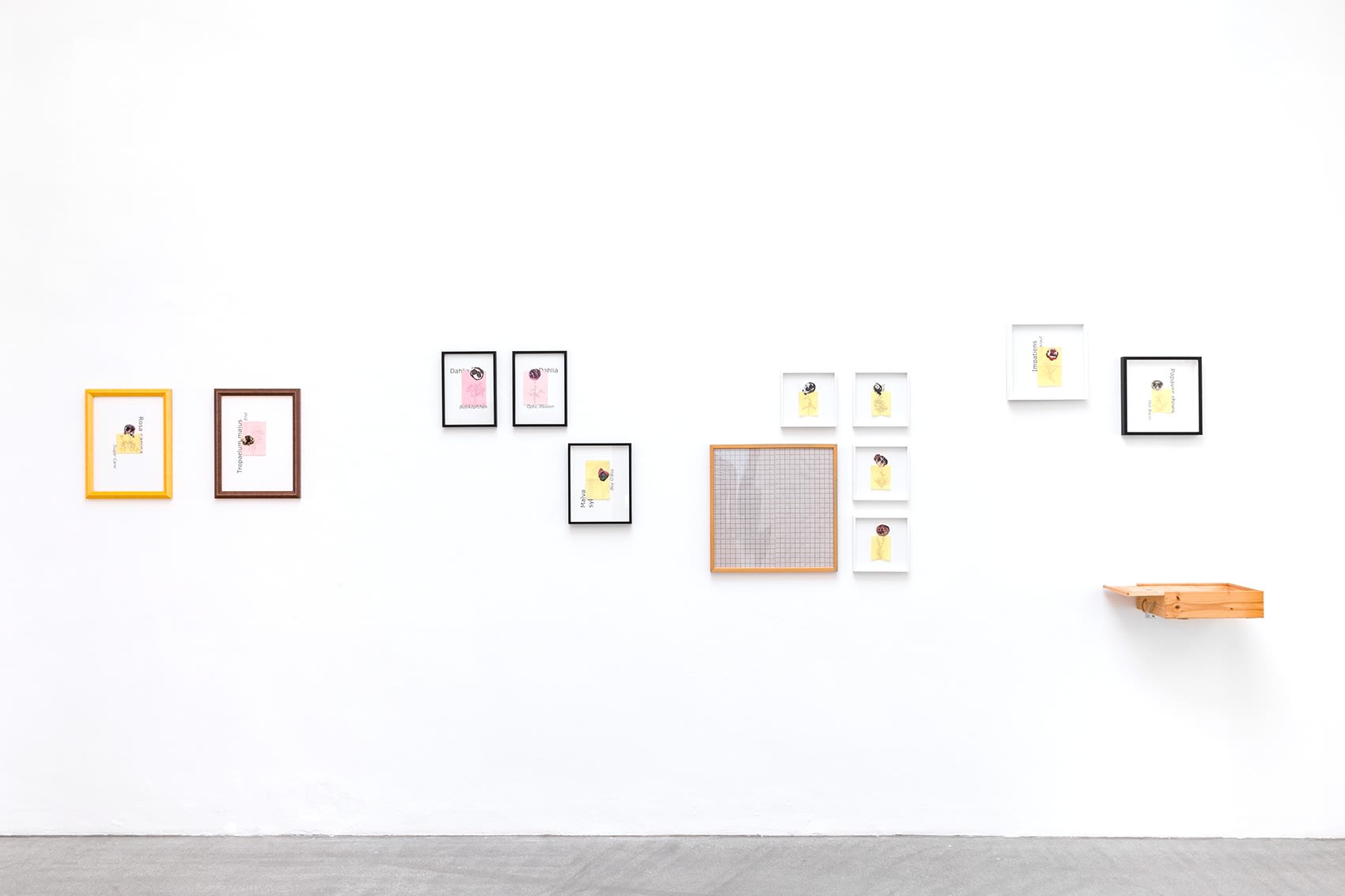 andrea van der straeten, gallery raum mit licht, curated by 2020