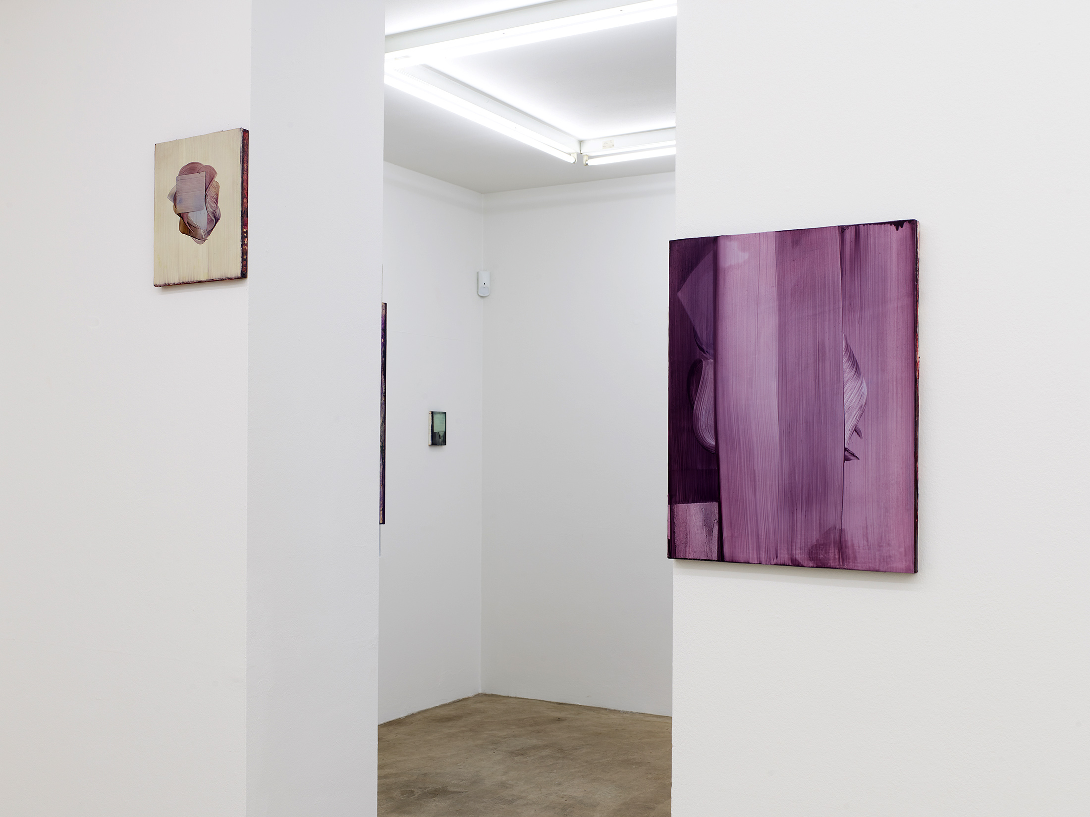 markus saile, artist, contemporary painting, nak