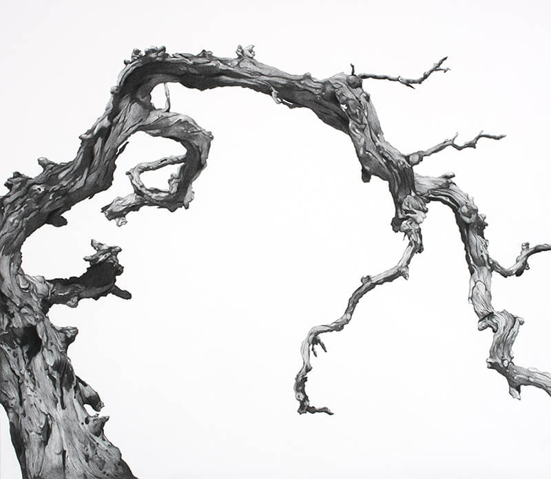 natural, nature, history, process, medium,