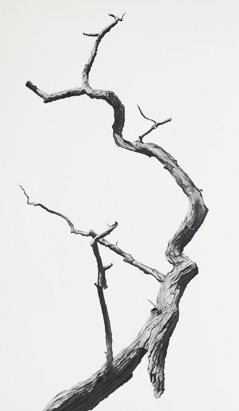 artist to watch, emerging, spotlight, featured, viewing rooms