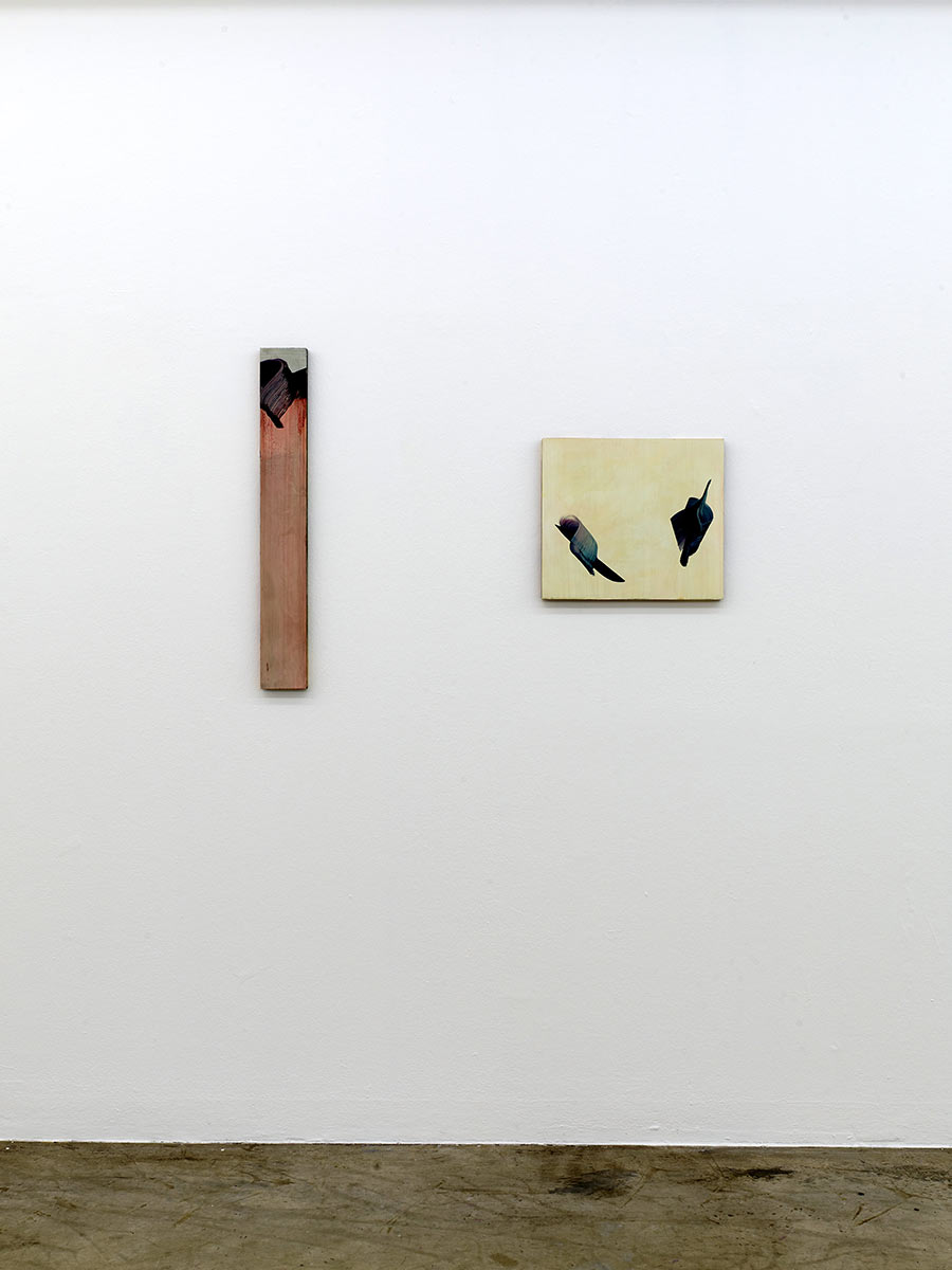 exhibition view, neuer aachener kunstverein, contemporary abstract painting, germany