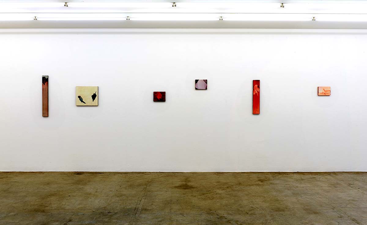 neuer aachener kunstverein, exhibition, viewing room, markus saile