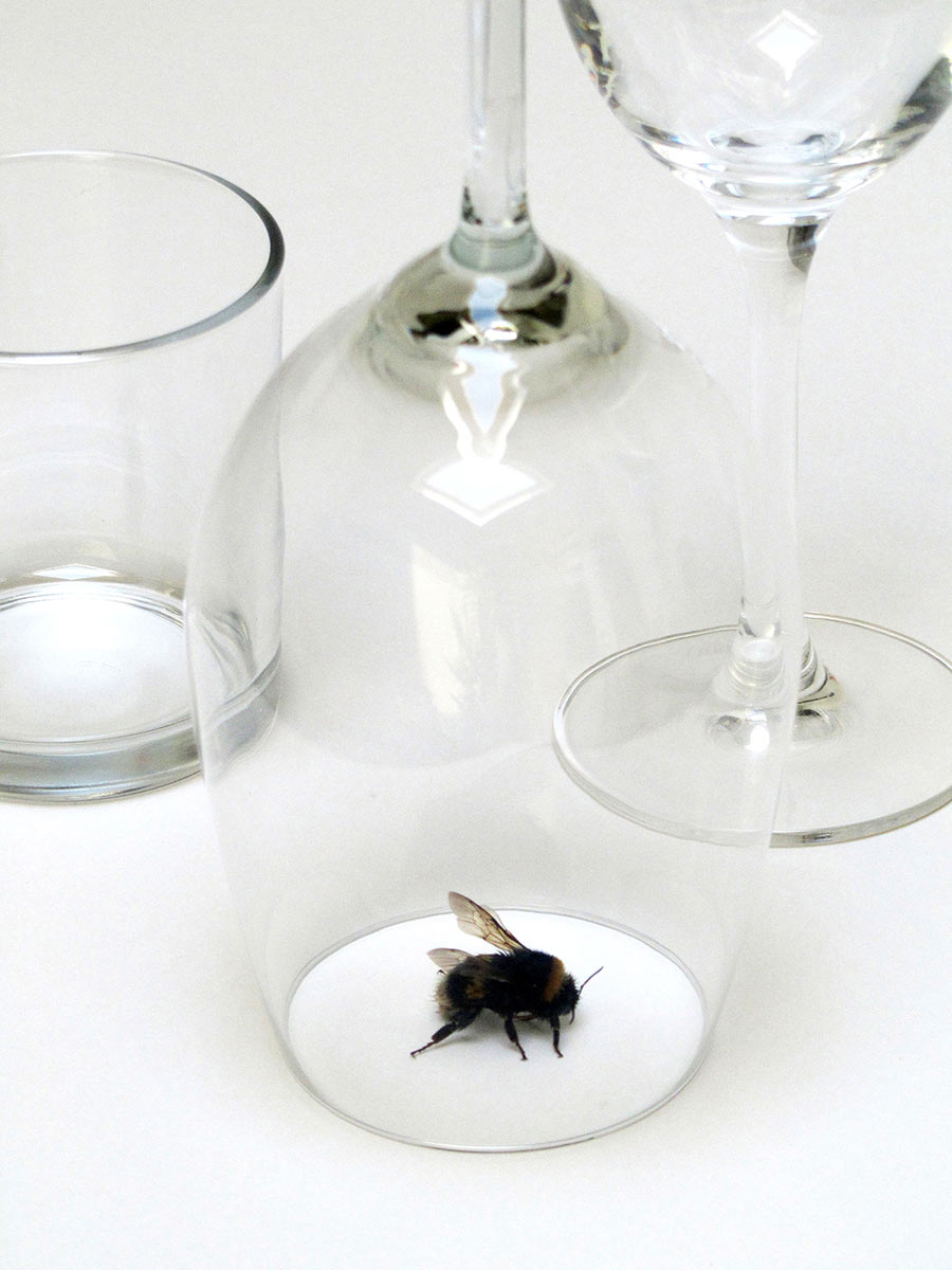 contemporary artist, geukens de vil, raum mit licht gallery, installation