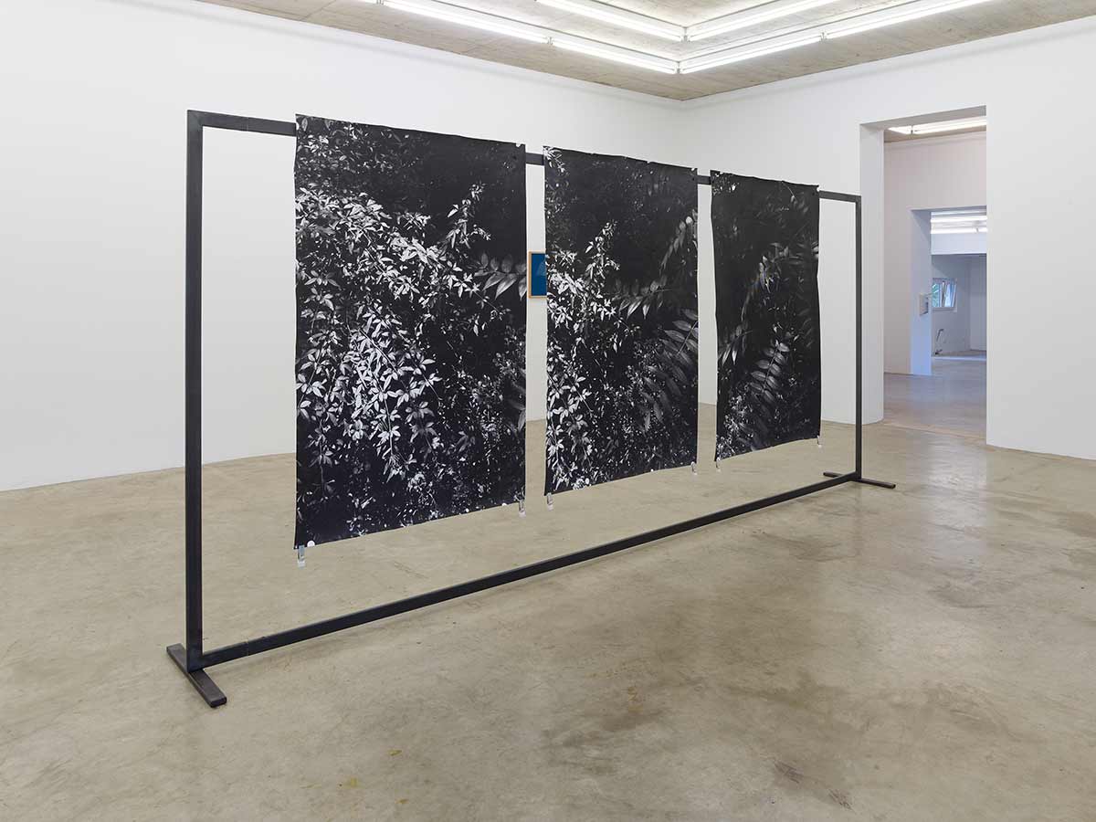Berit Schneider, female contemporary artist, installation, collect