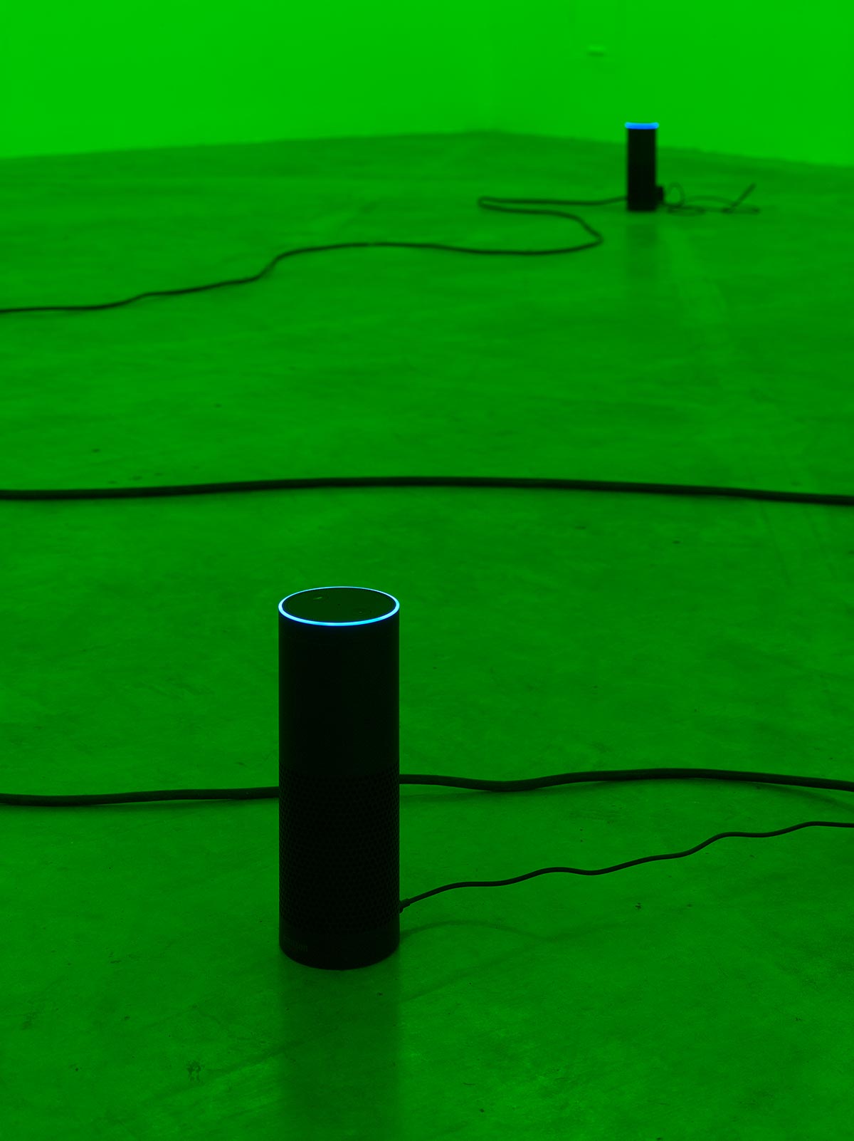 julia scher, light installment, talented, new comer, art field