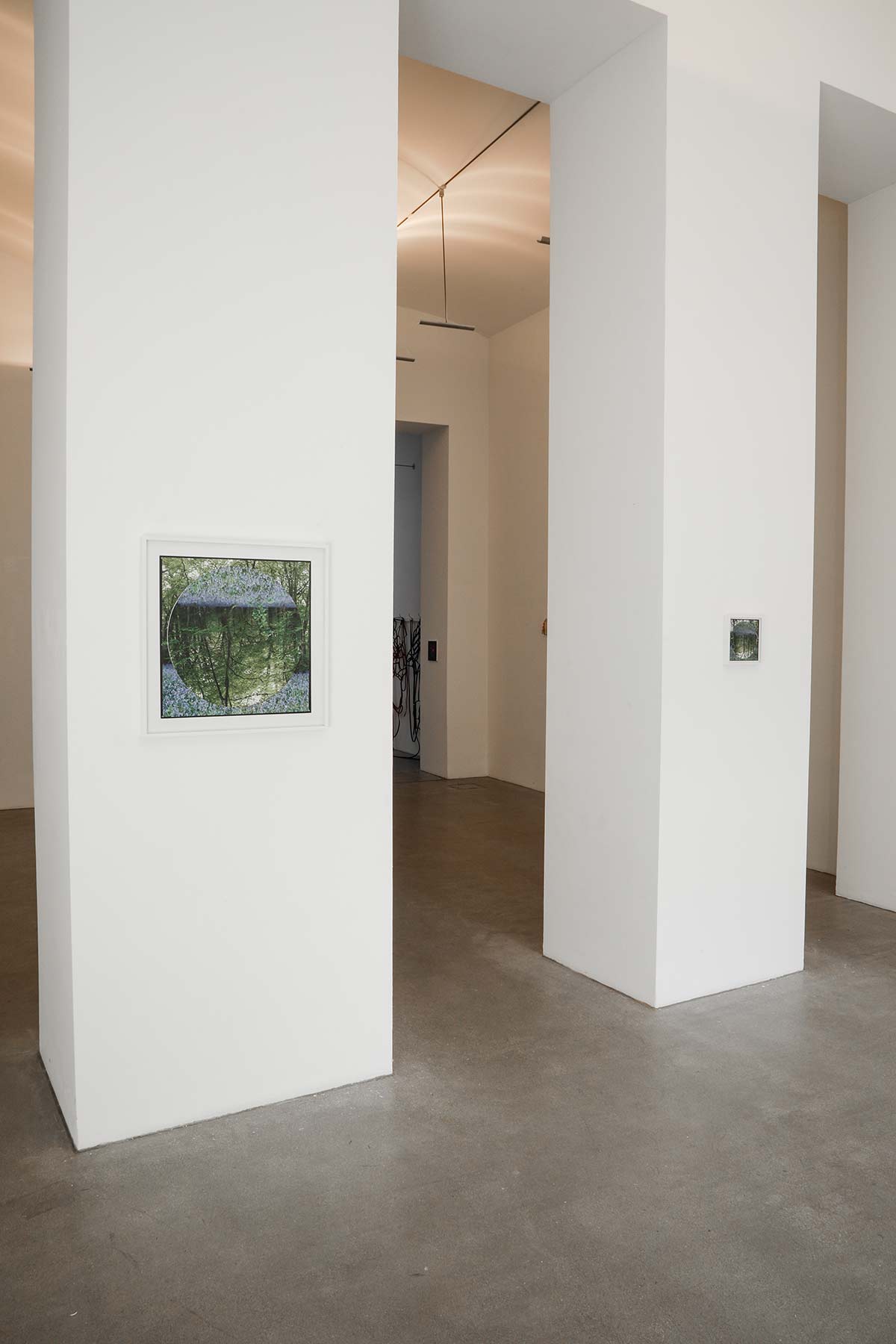 nature, female art, online viewing room, unique piece, available works