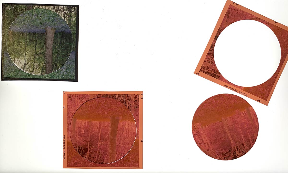 photo, studio, work process, dark room, analogue,