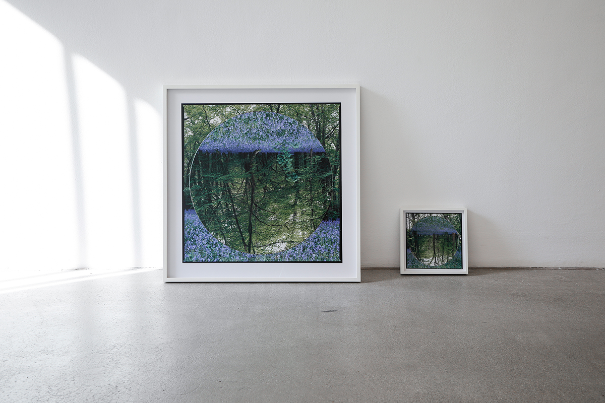 aliki braine, contemporary art