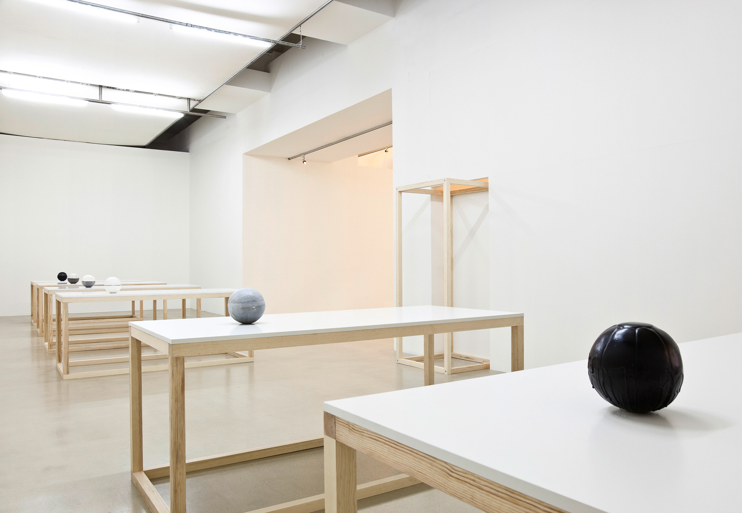 contemporary photo, design, natural, human existence, berlin