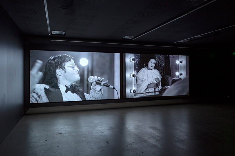 Lisa long curates the show at sophie tappeiner with melanie jame wolf, acts of improbable genius