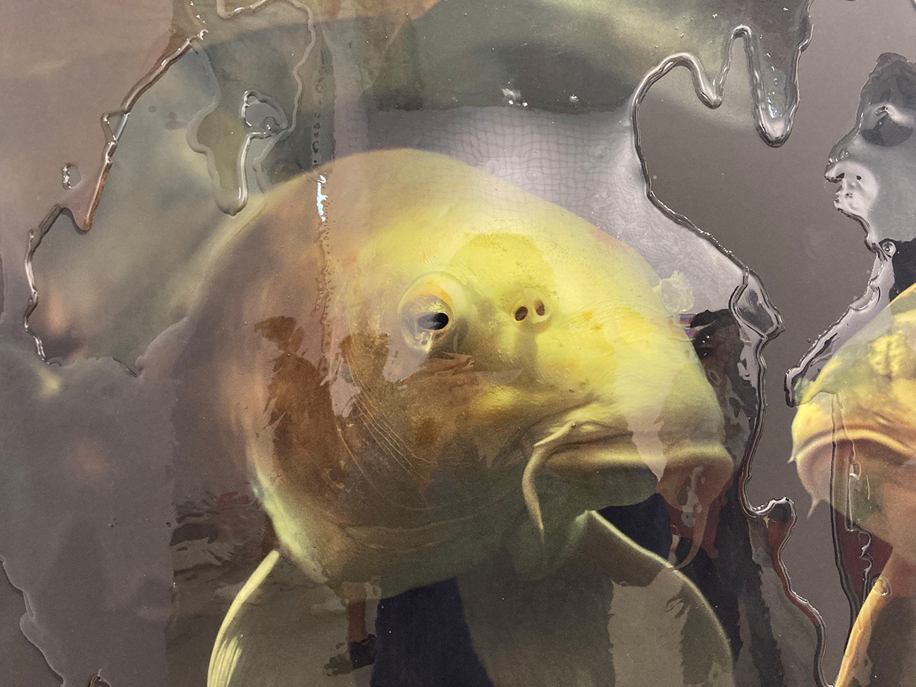 photography, young emerging female artist to collect, support, viennacontemporary