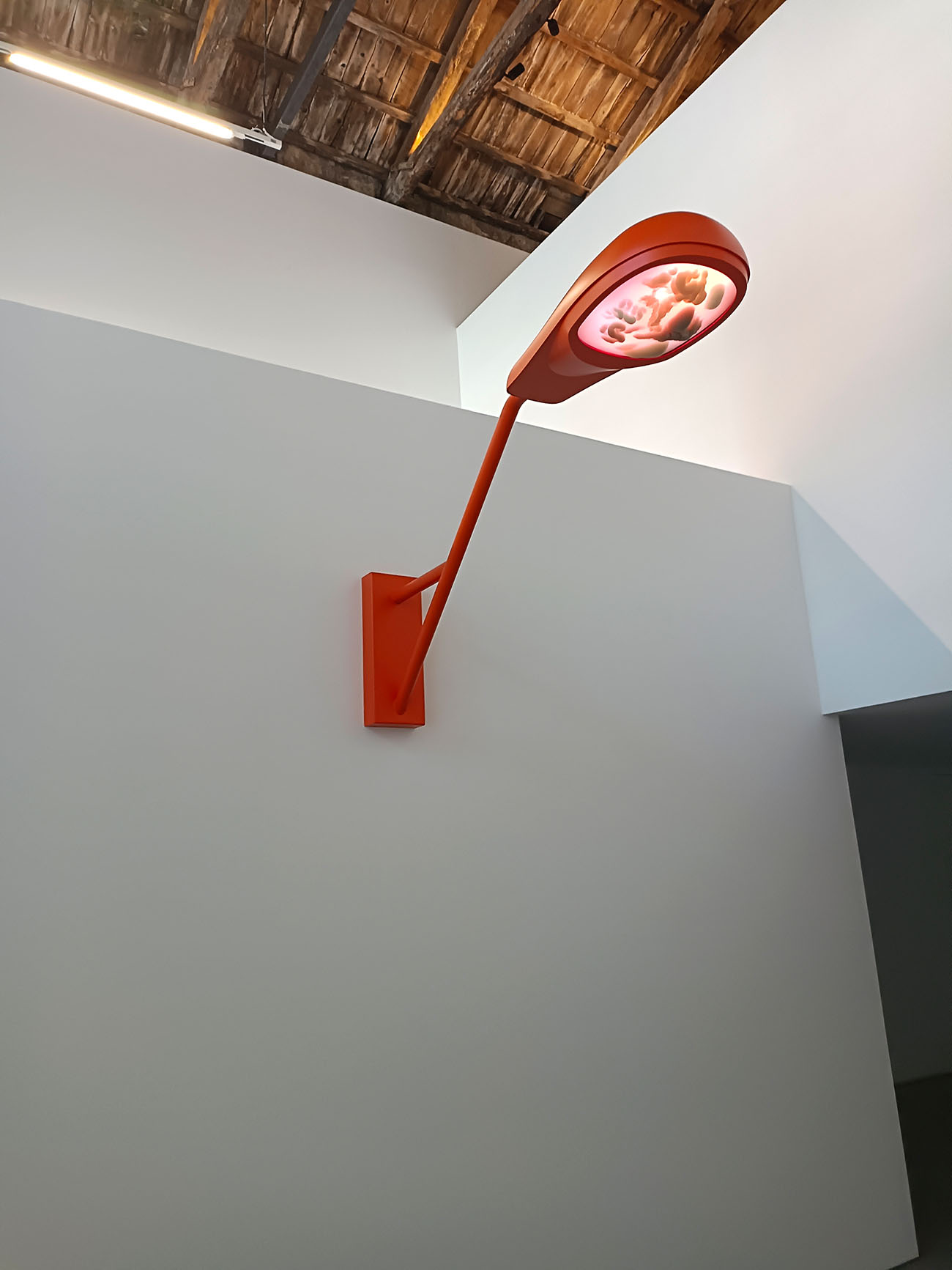 fitzgerald gallery, architect, curator nicolas bellavance-lecompte, quentin moyse, linde freya tanglier, ben storms brut collective,