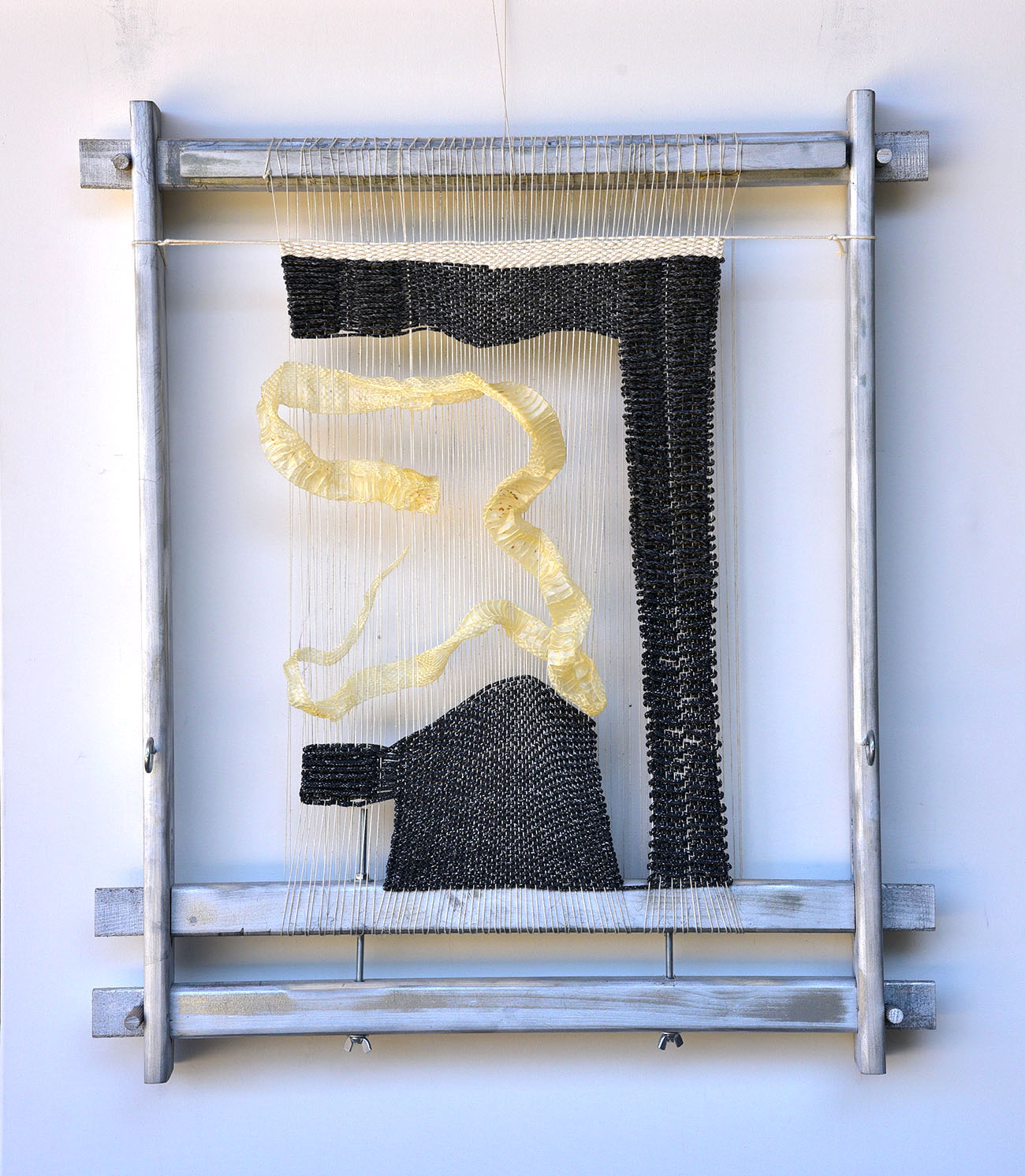 art daily, visual artist, spotlight, discover